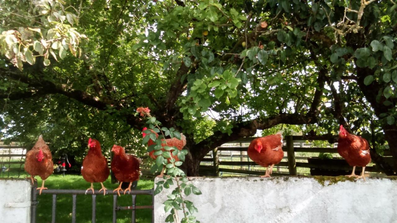 Cummins Cottages Ballycrossaun المظهر الخارجي الصورة