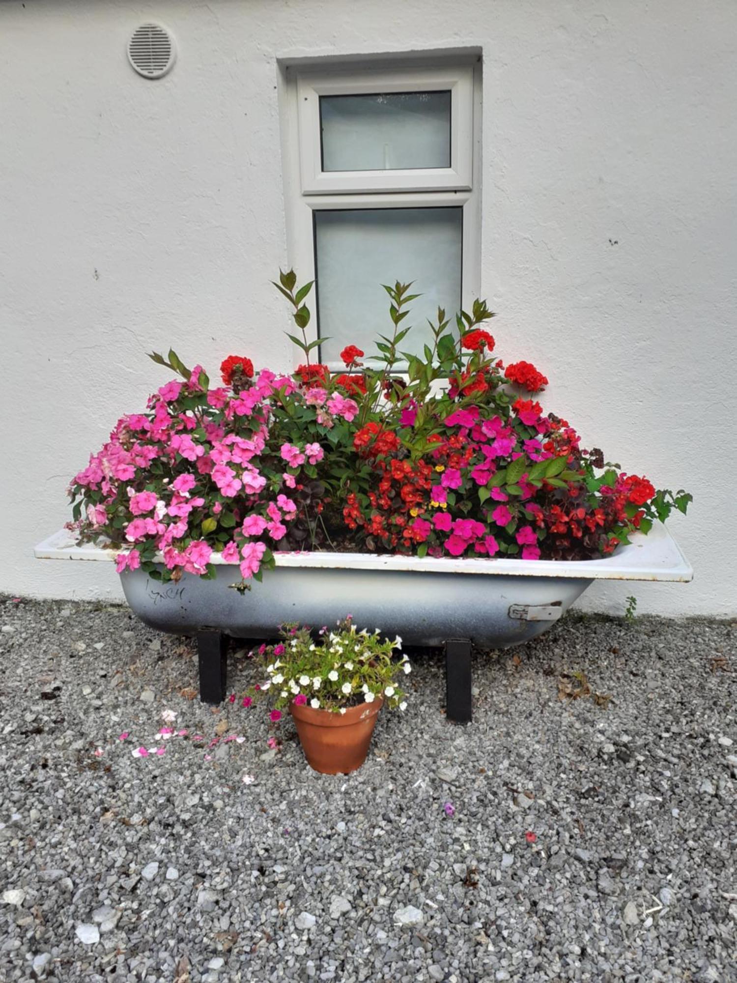 Cummins Cottages Ballycrossaun المظهر الخارجي الصورة
