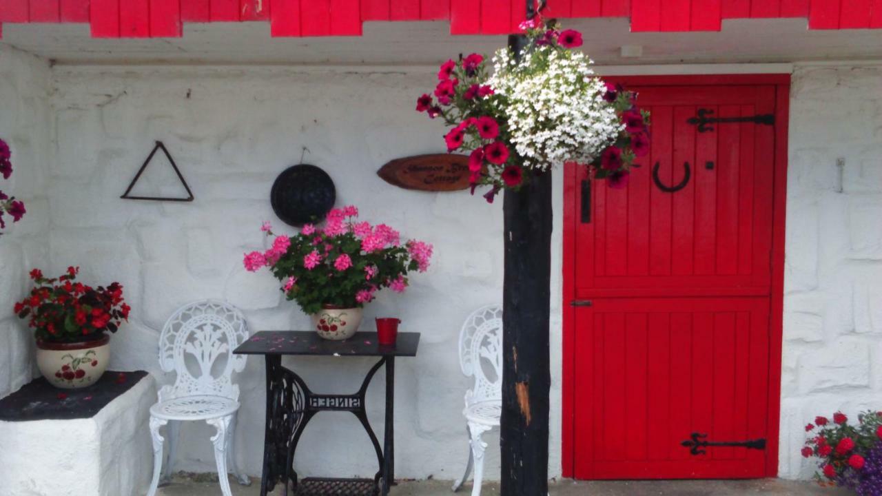 Cummins Cottages Ballycrossaun المظهر الخارجي الصورة