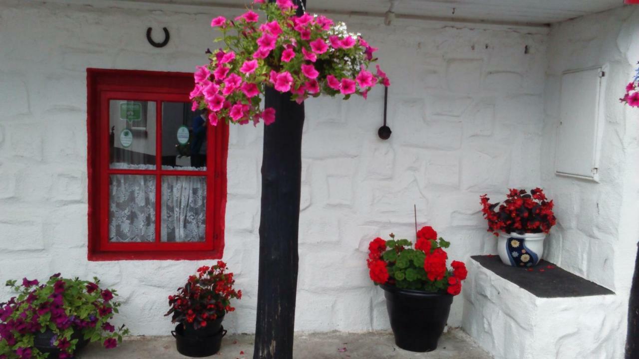 Cummins Cottages Ballycrossaun المظهر الخارجي الصورة