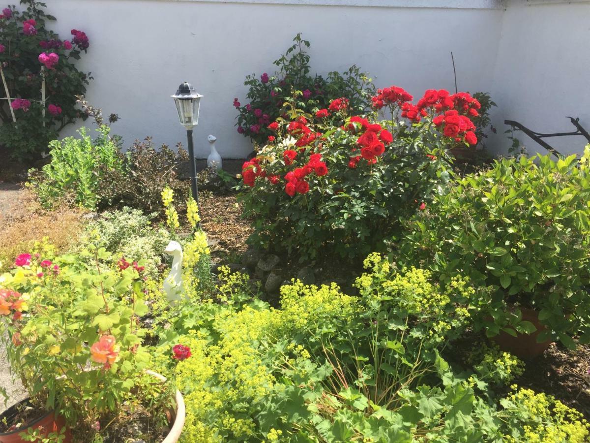 Cummins Cottages Ballycrossaun المظهر الخارجي الصورة